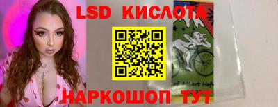 СК Боровичи