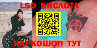 Альфа ПВП Брянск
