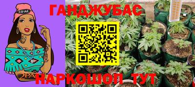 СК Боровичи