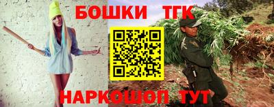 СК Боровичи