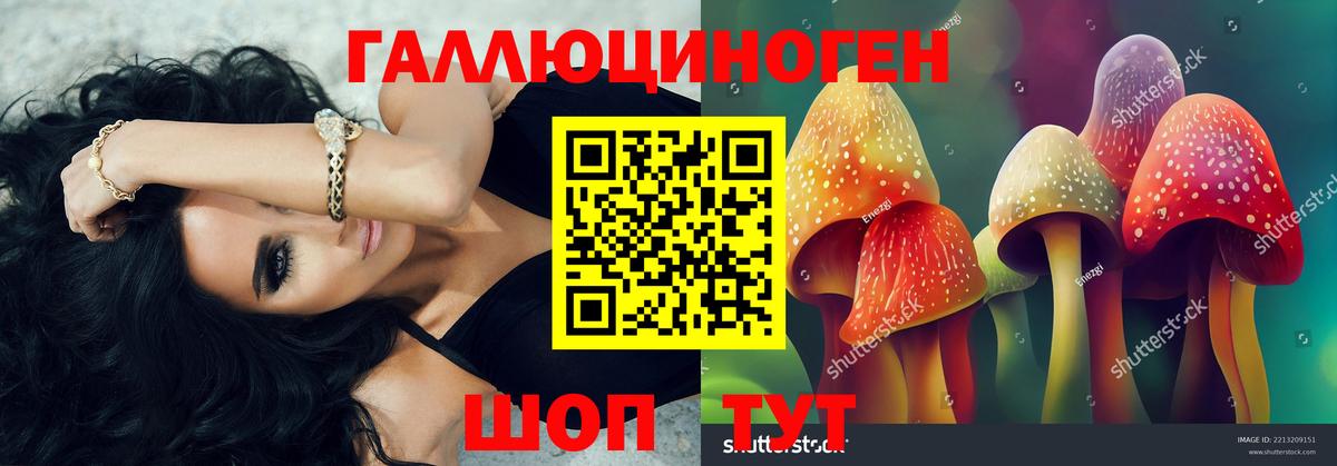Псилоцибиновые грибы GOLDEN TEACHER Назрань
