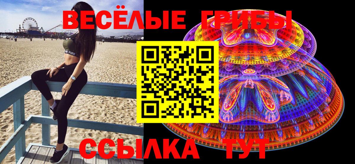 Галлюциногенные грибы Psilocybe  Псилоцибиновые грибы мухоморы  Вход с VPN  Назрань 